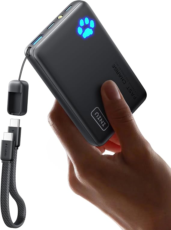 INIU INIU 10,000mAh Power Bank